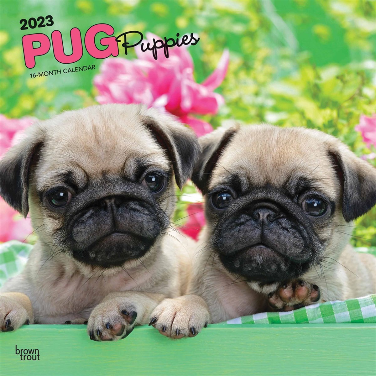 Pug Puppies 2023 Calendars