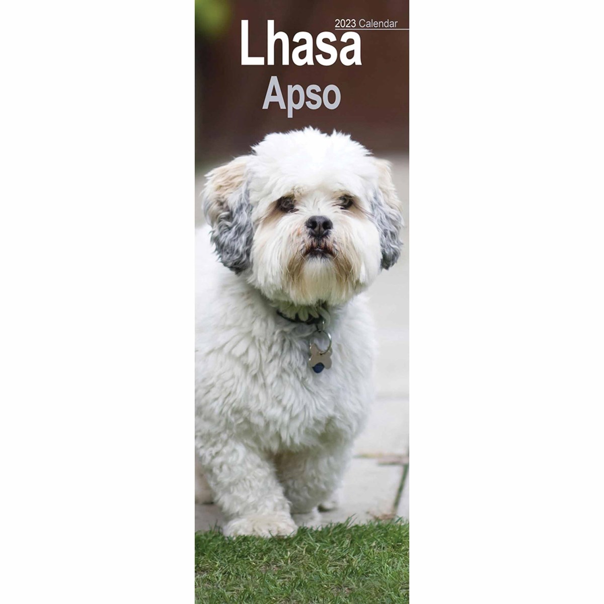 Lhasa Apso Slim 2023 Calendars