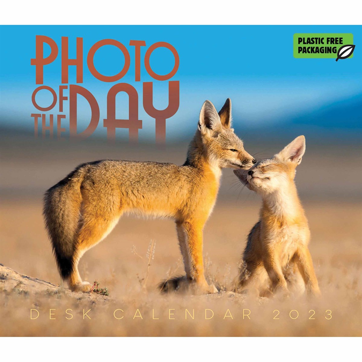 Photo Of The Day Desk 2023 Calendars