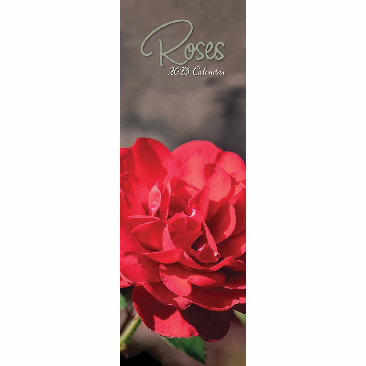 Roses Slim 2023 Calendars