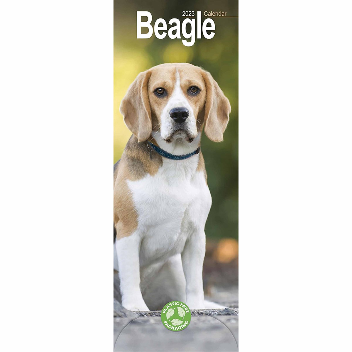 Beagle Slim 2023 Calendars