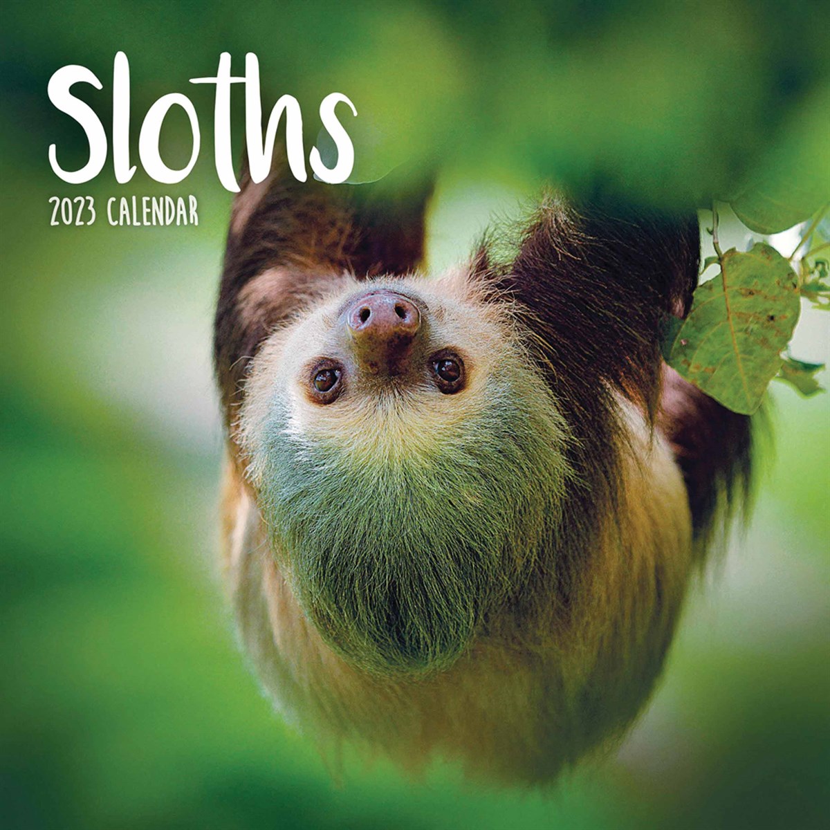 Sloths Mini 2023 Calendars