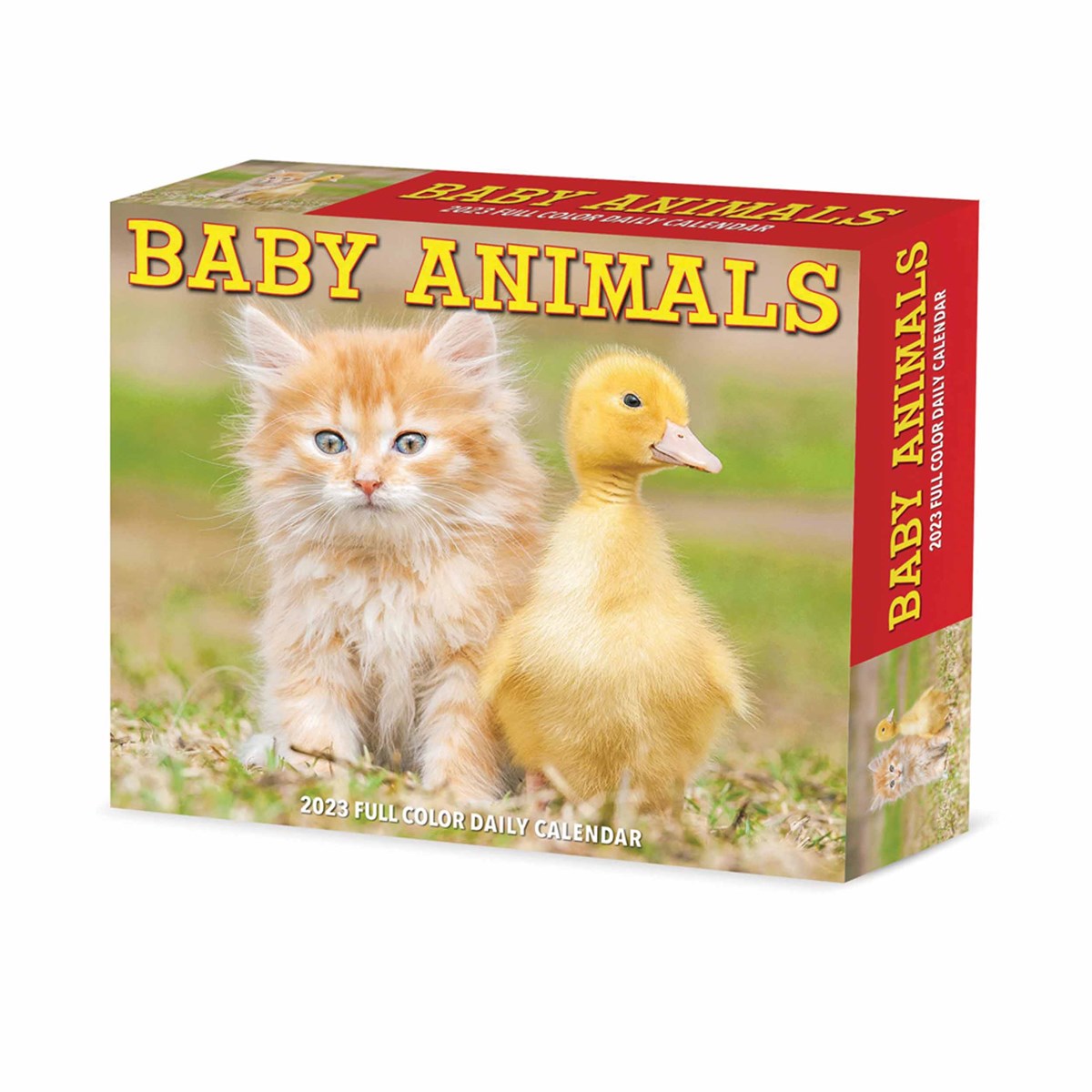Baby Animals Desk 2023 Calendars