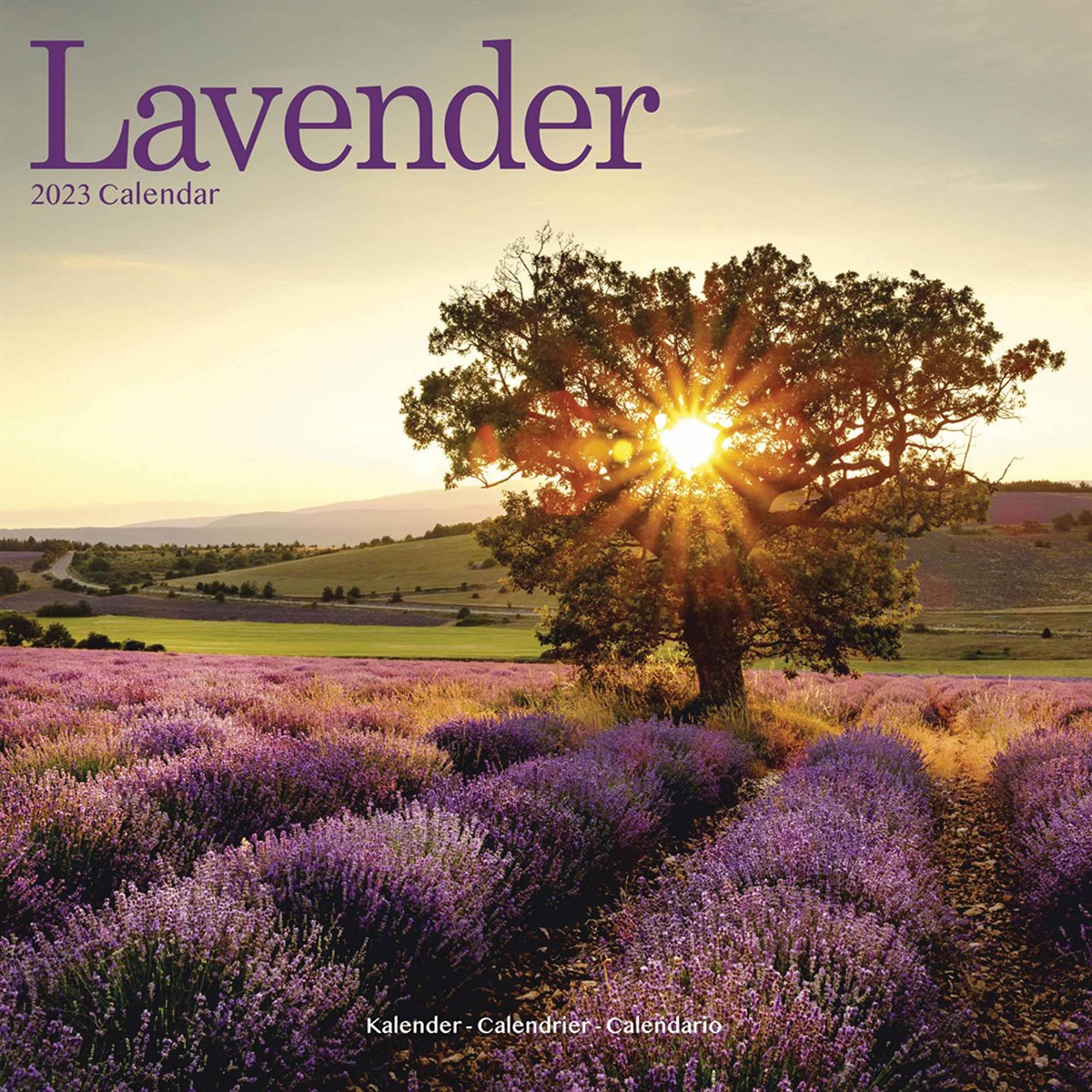 Lavender 2023 Calendars