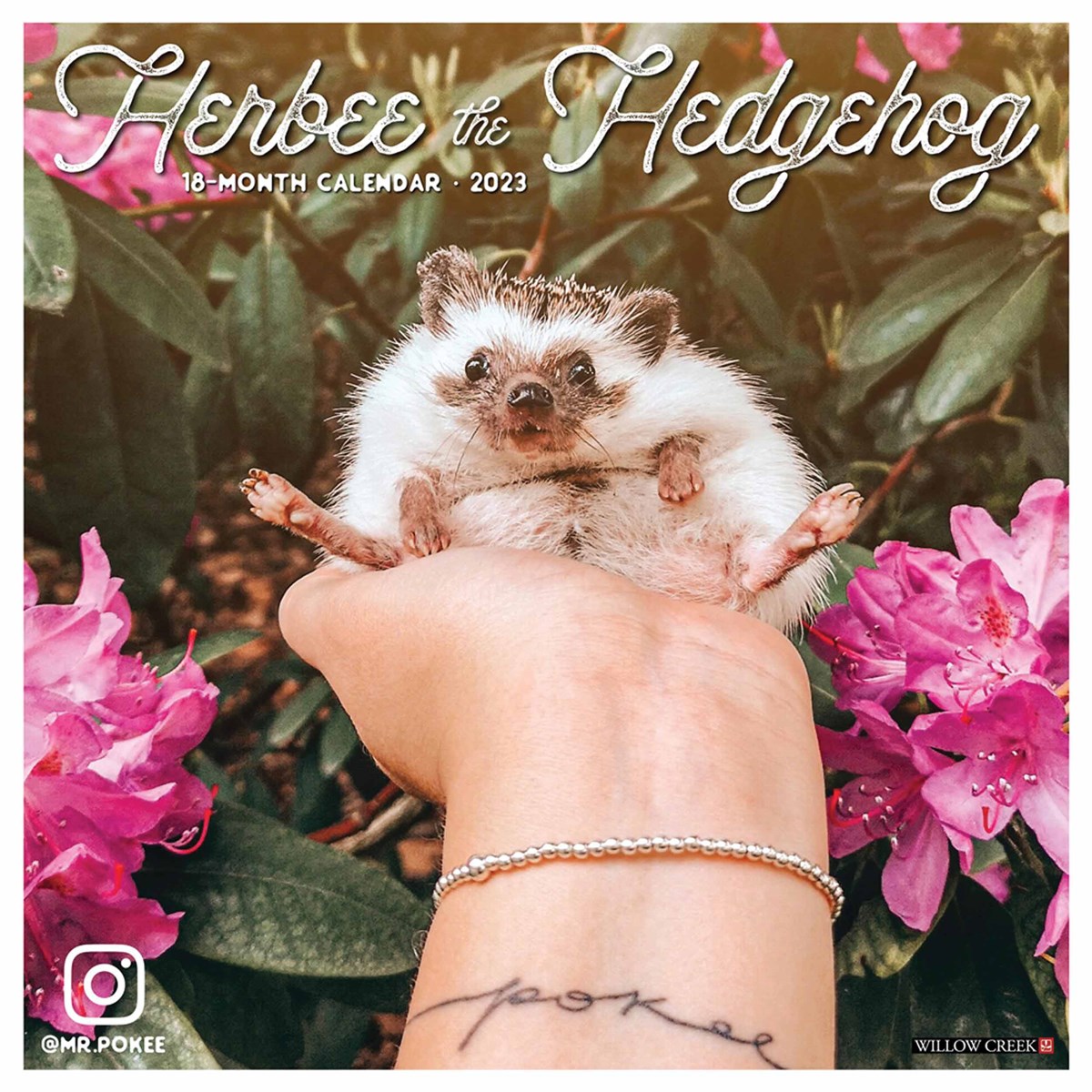 Herbee The Hedgehog 2023 Calendars