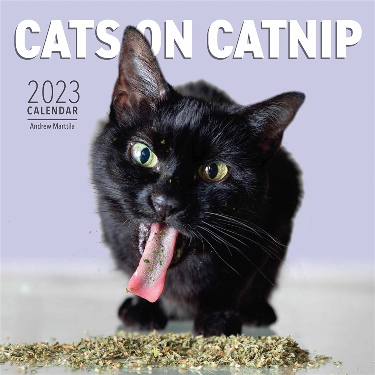 Cats On Catnip 2023 Calendars