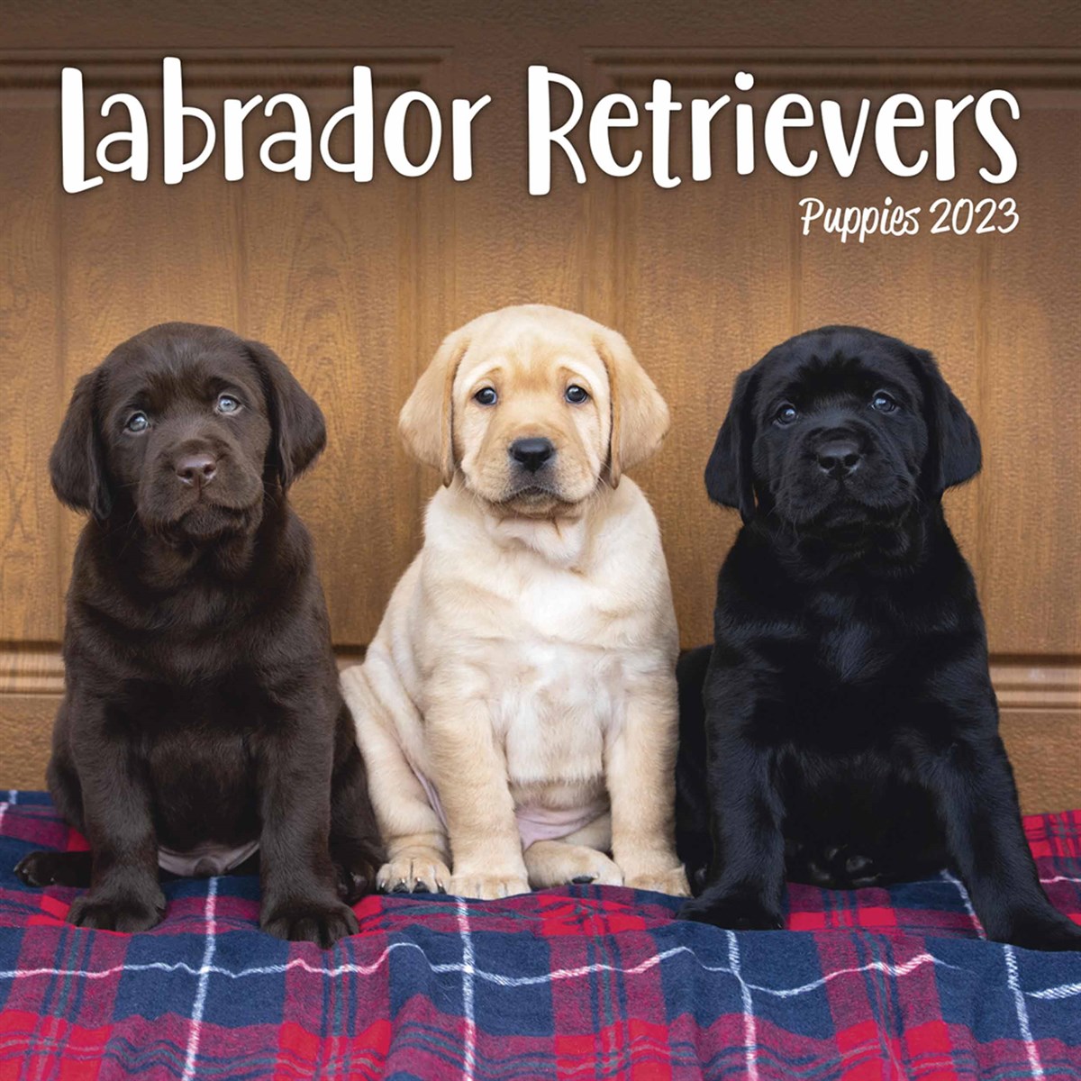 Labrador Retriever Puppies Mini 2023 Calendars