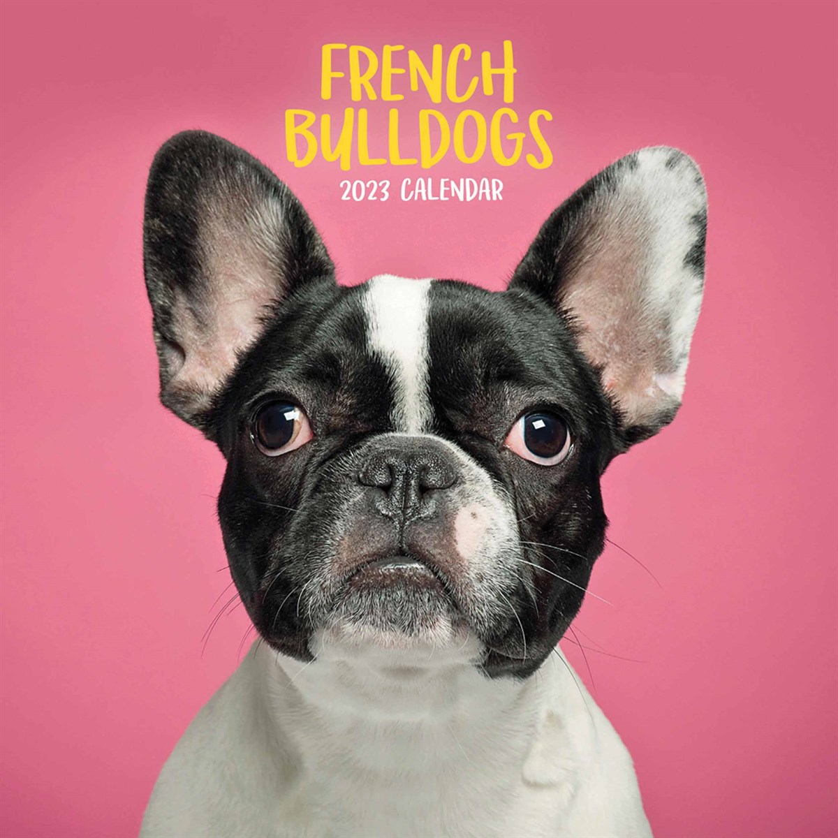 French Bulldogs Mini Calendar 2023