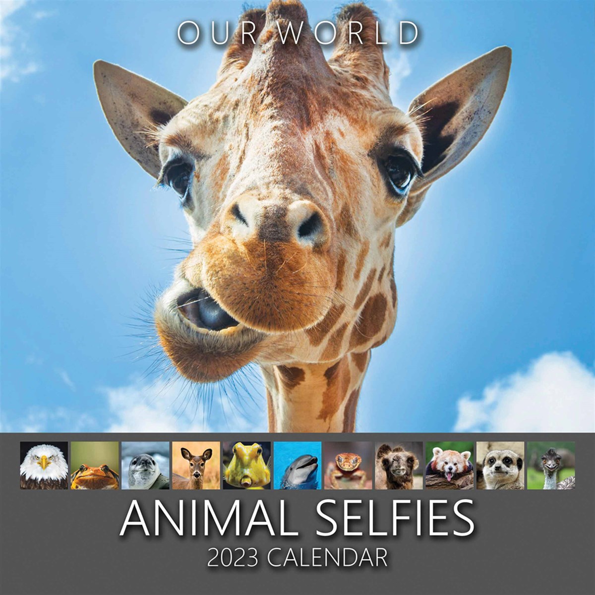 Animal Selfies Calendar 2023