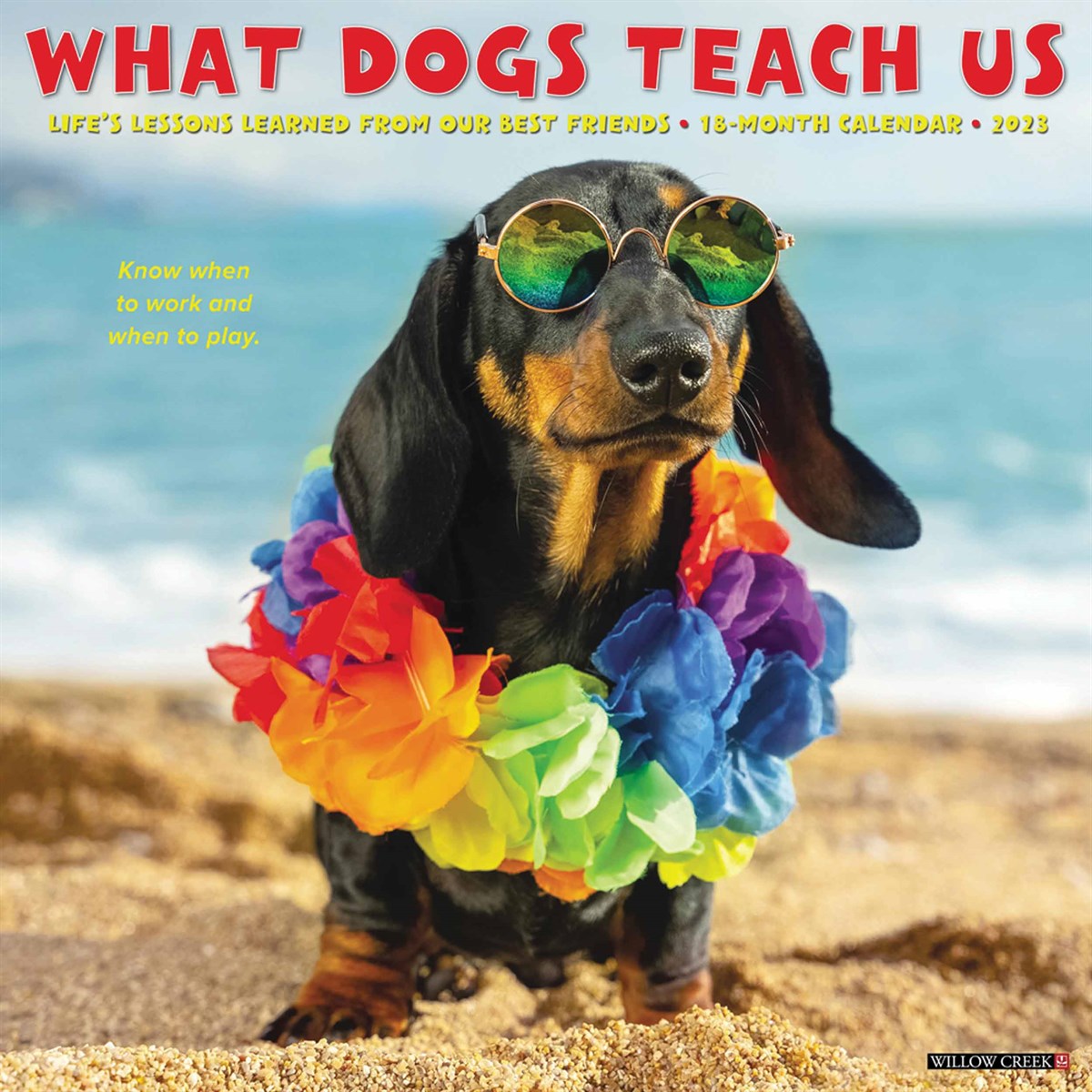 What Dogs Teach Us 2023 Calendars