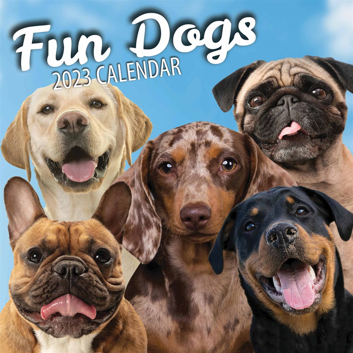 Fun Dogs 2023 Calendars