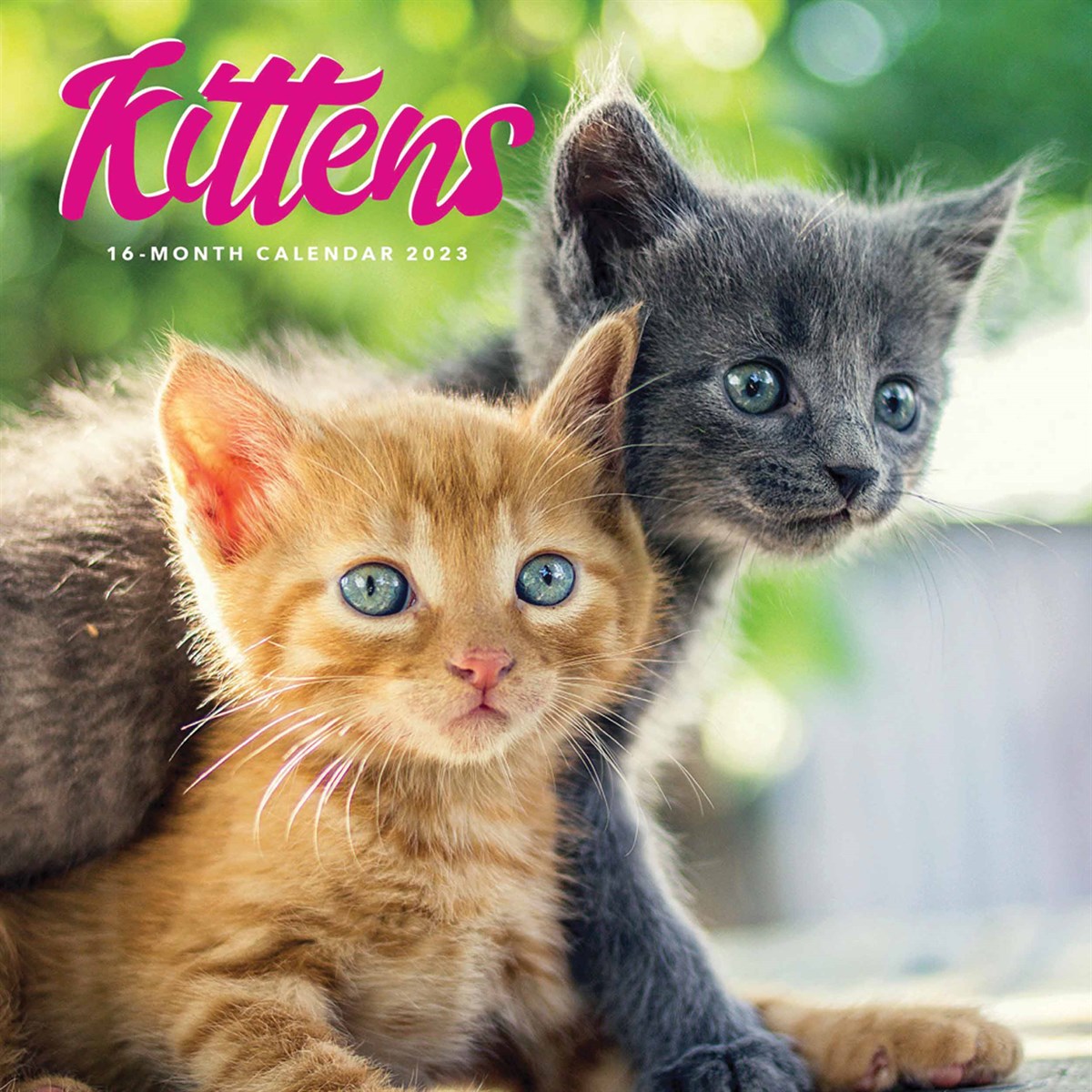 Kittens Mini 2023 Calendars