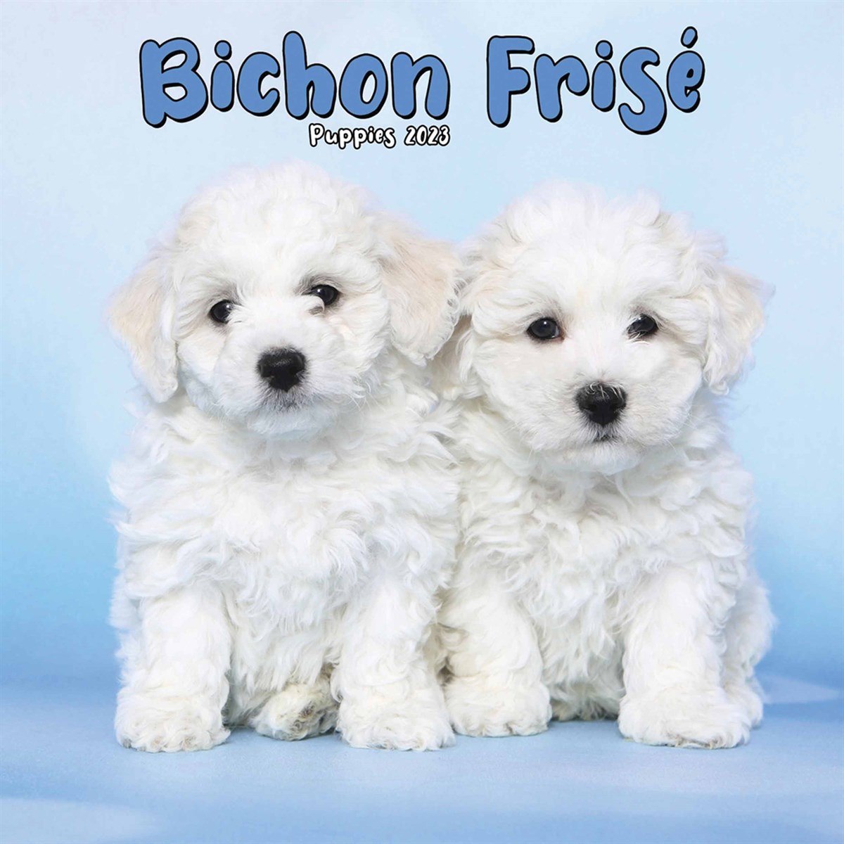 Bichon Frisé Puppies Mini 2023 Calendars