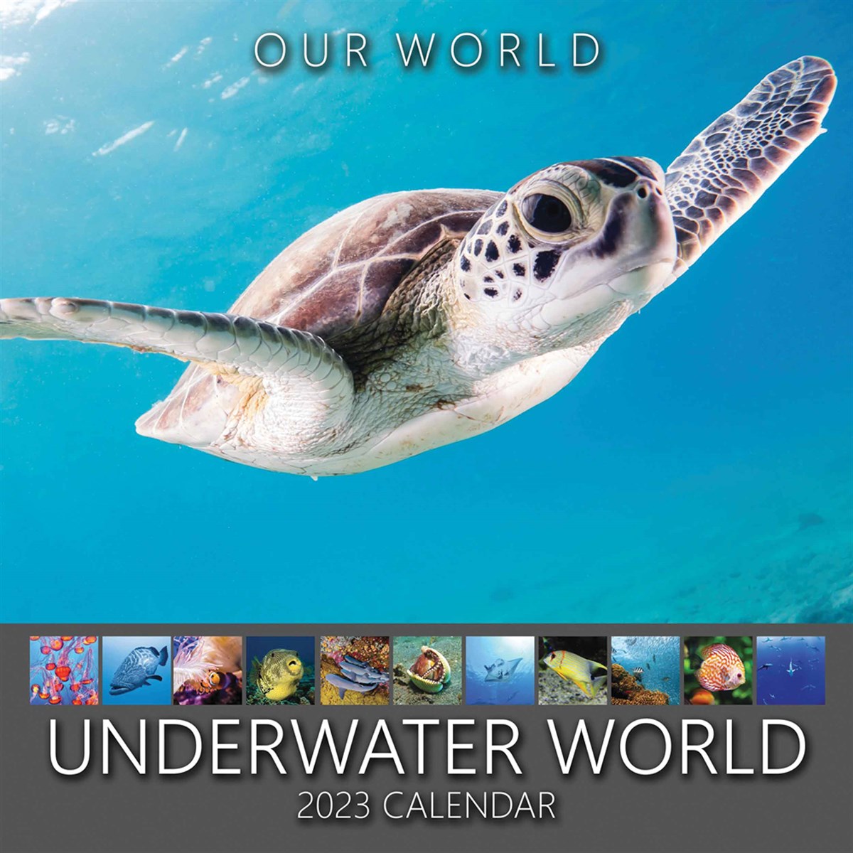 Underwater World 2023 Calendars