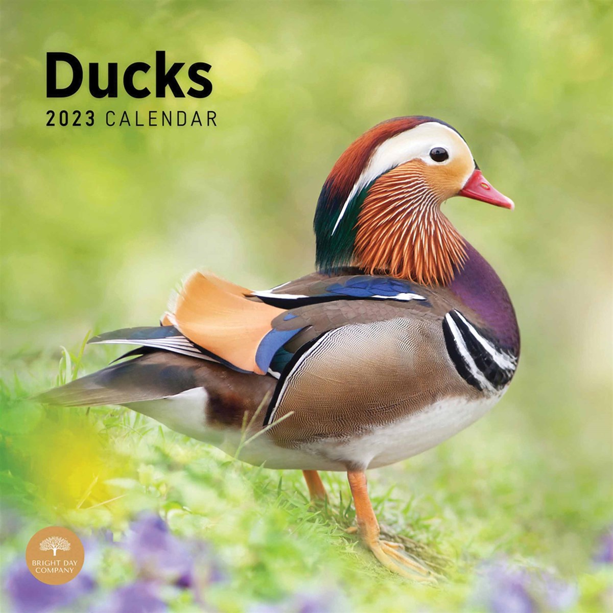 Ducks 2023 Calendars