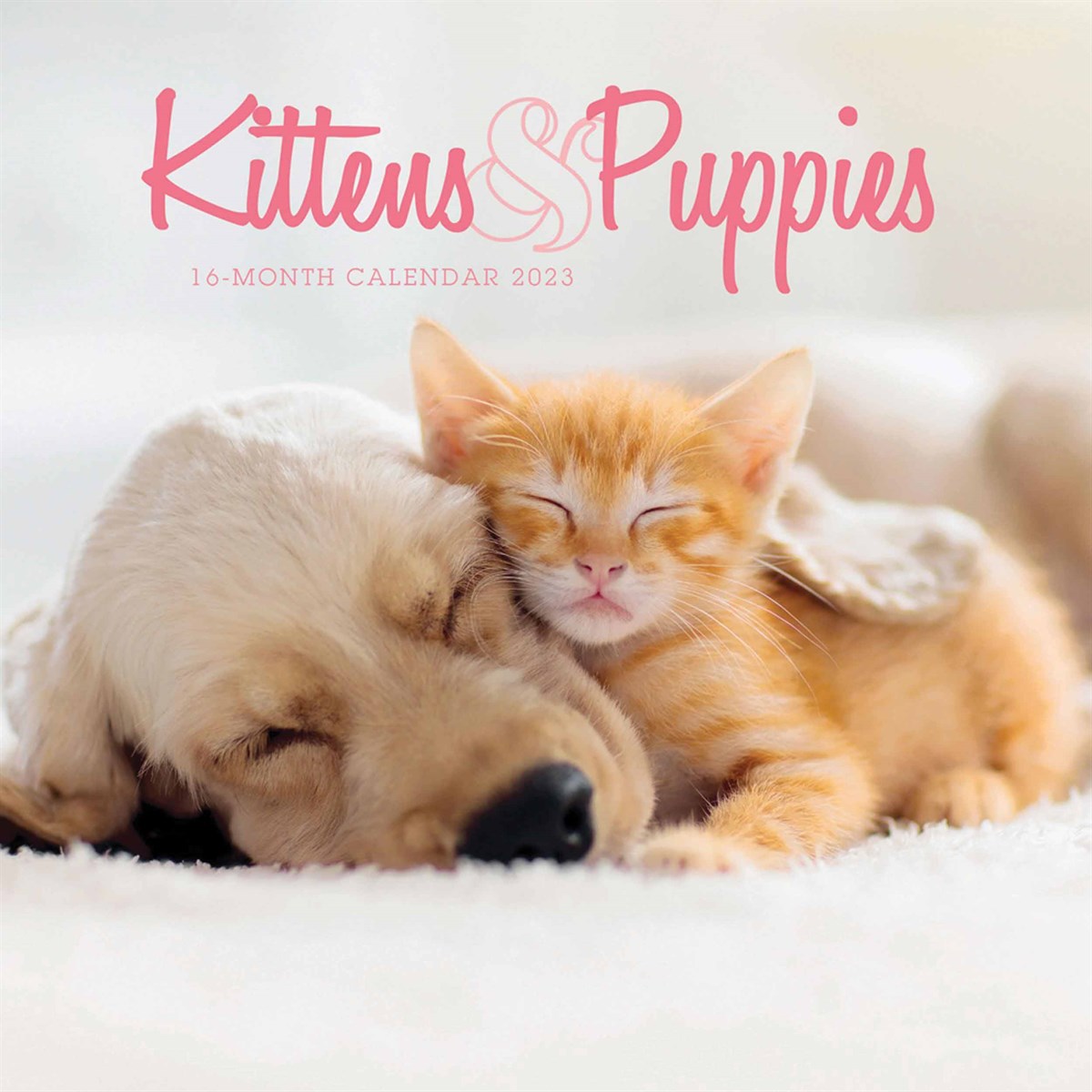 Kittens & Puppies Mini 2023 Calendars