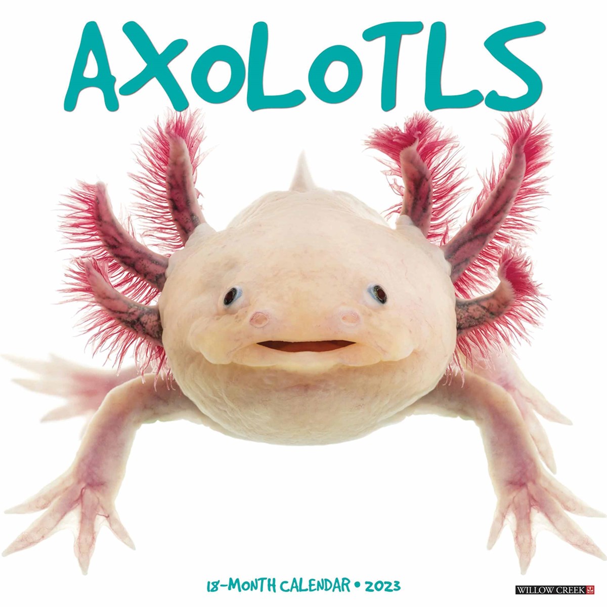 Axolotls 2023 Calendars