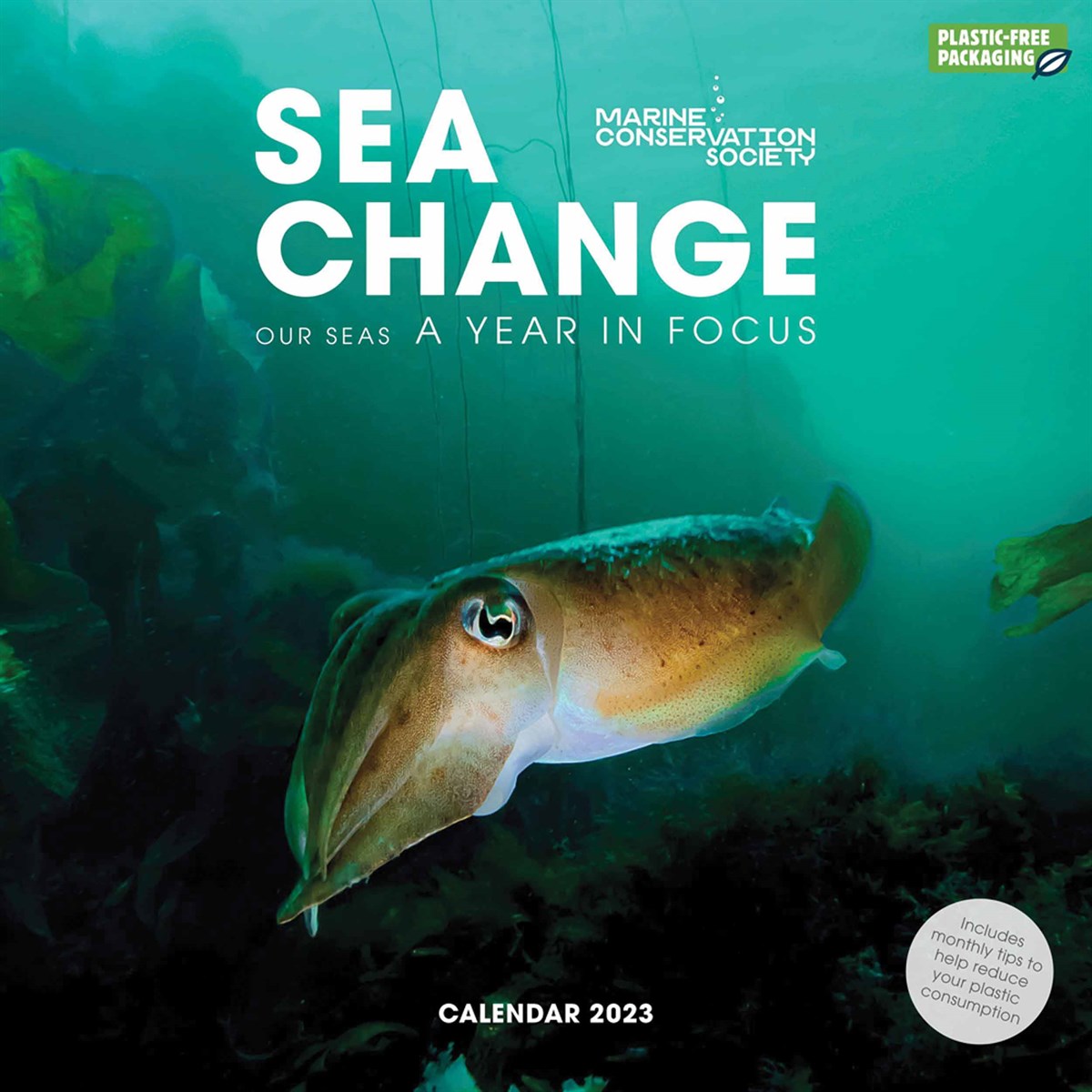 Sea Change, A Year To Save The Ocean 2023 Calendars