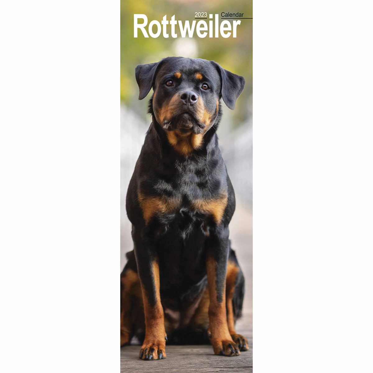 Rottweiler Slim 2023 Calendars