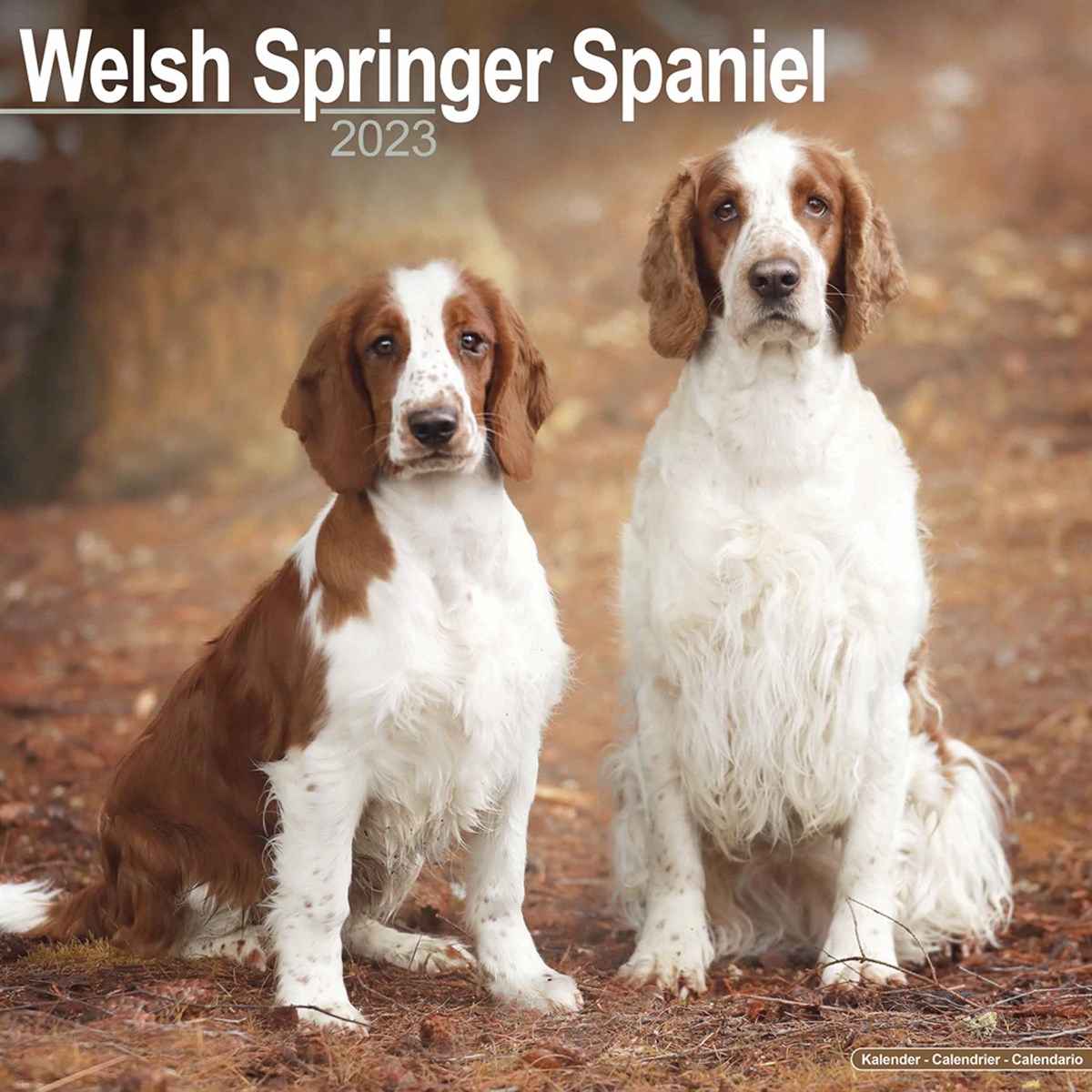 Welsh Springer Spaniel 2023 Calendars