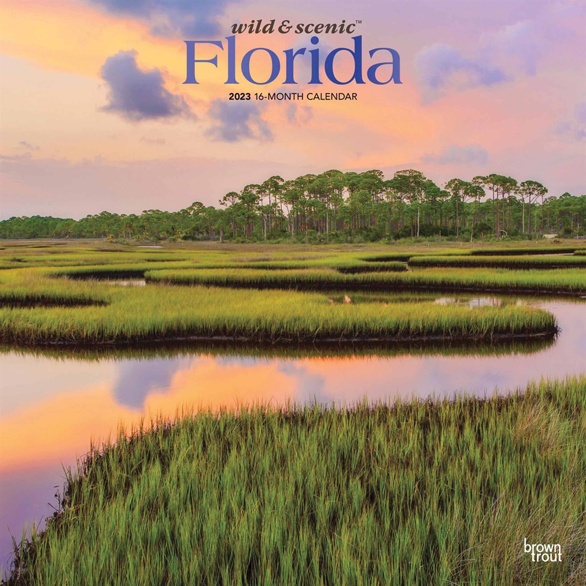 Wild & Scenic Florida 2023 Calendars