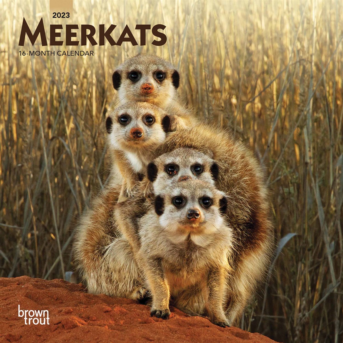 Meerkats Mini 2023 Calendars