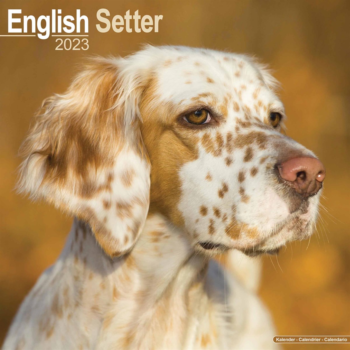 English Setter 2023 Calendars