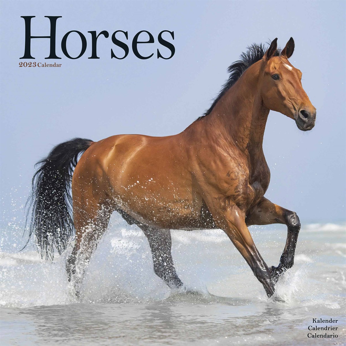 Horses 2023 Calendars