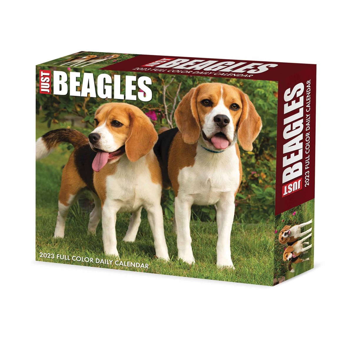 Just Beagles Desk 2023 Calendars