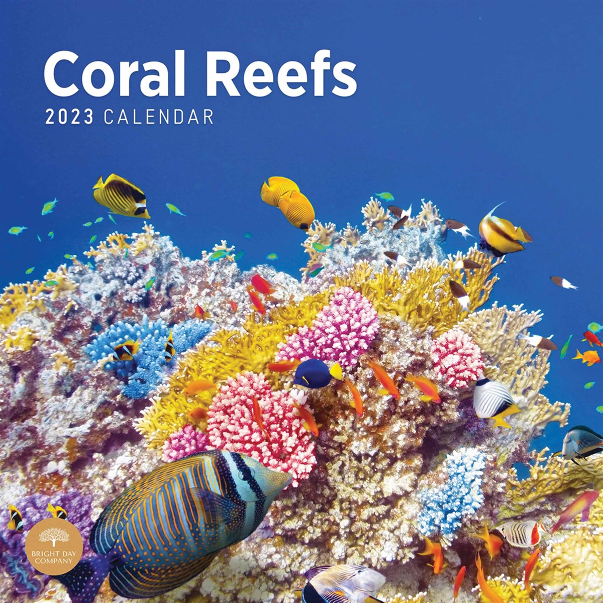 Coral Reef 2023 Calendars