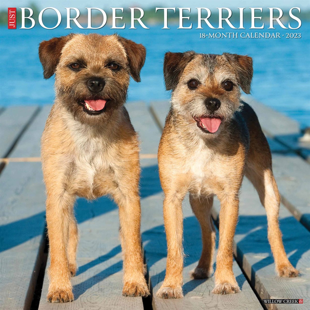 Just Border Terriers 2023 Calendars