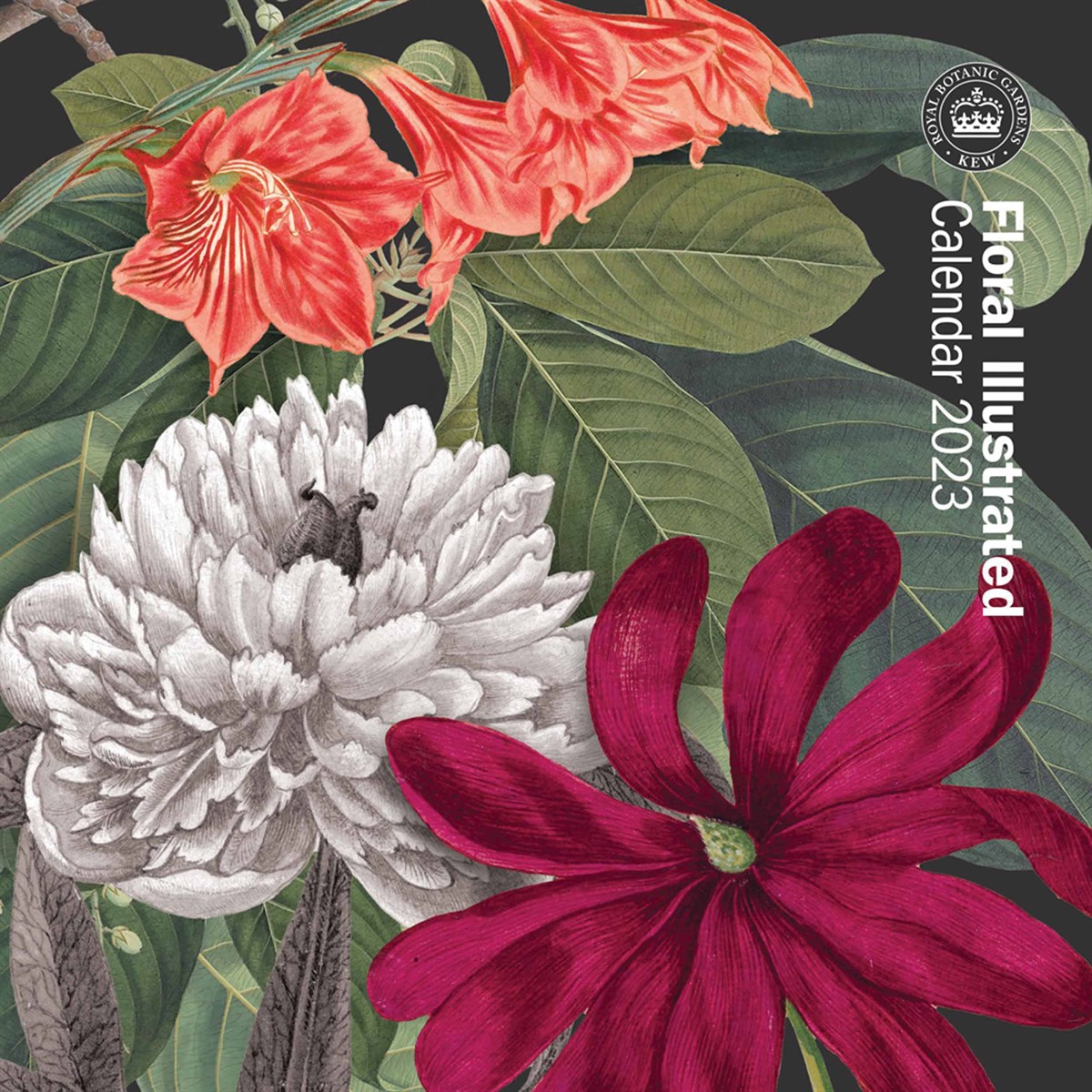 Royal Botanic Gardens Floral Illustrated Mini 2023 Calendars