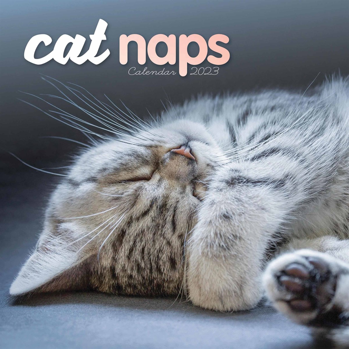 Cat Naps Mini 2023 Calendars