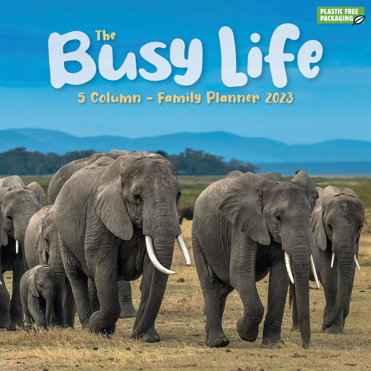 Busy Life Family Planner 2023