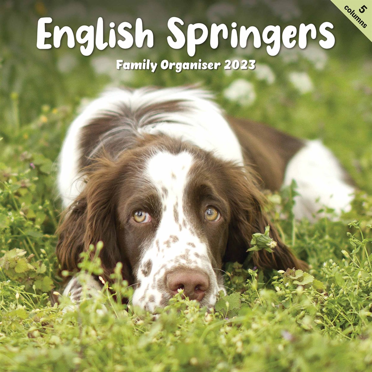 English Springer Spaniel Family Planner 2023