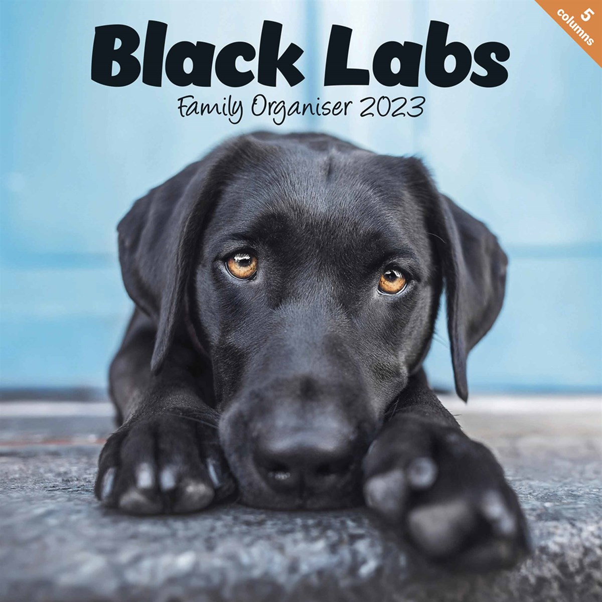 Black Labrador Retriever Family Planner 2023