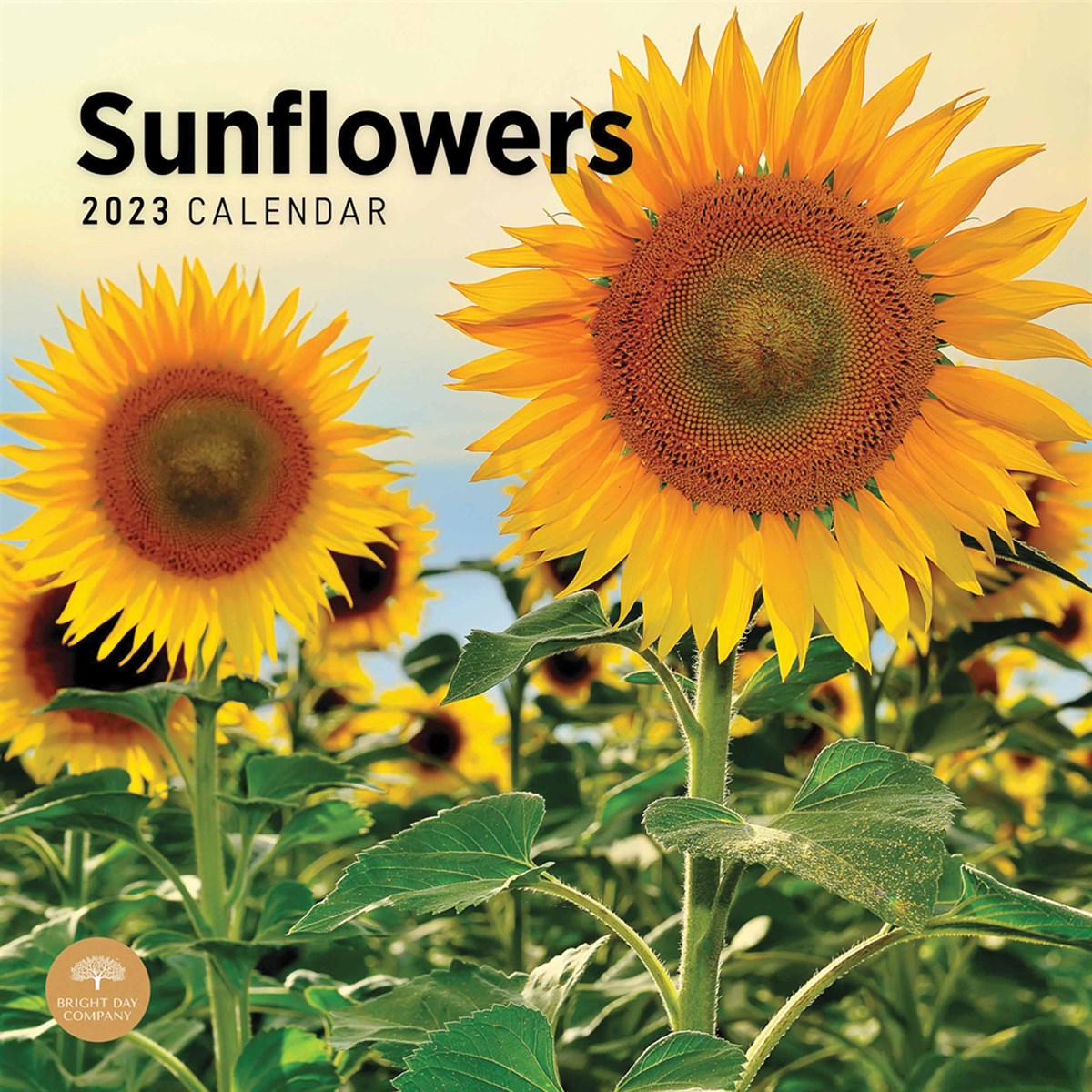 Sunflowers 2023 Calendars