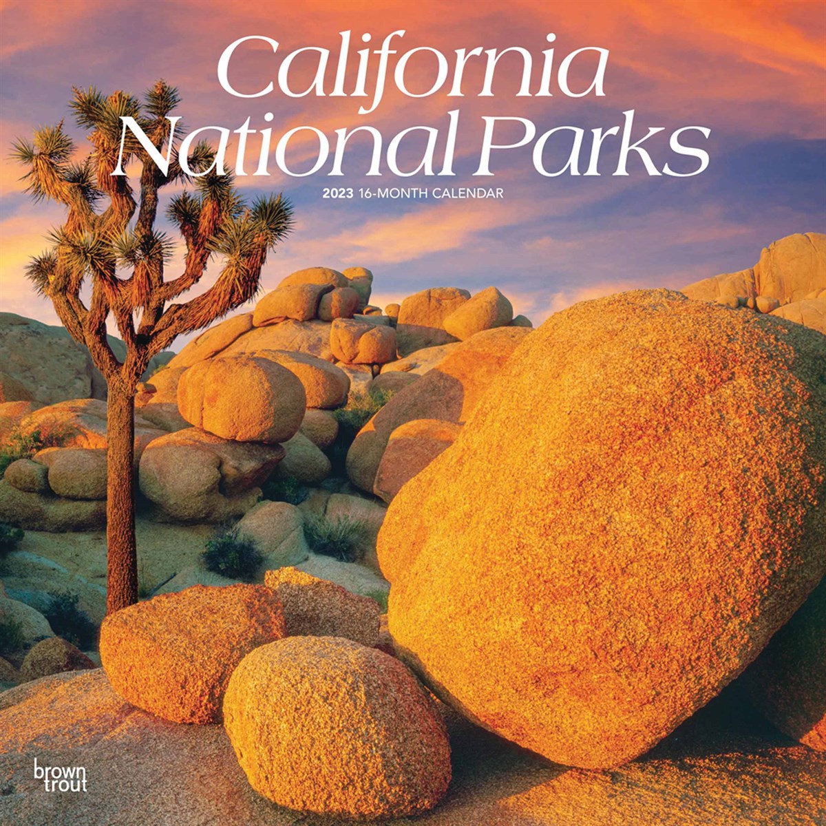 California National Parks 2023 Calendars