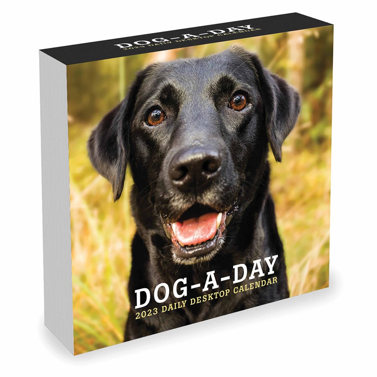 Dog A Day Desk 2023 Calendars