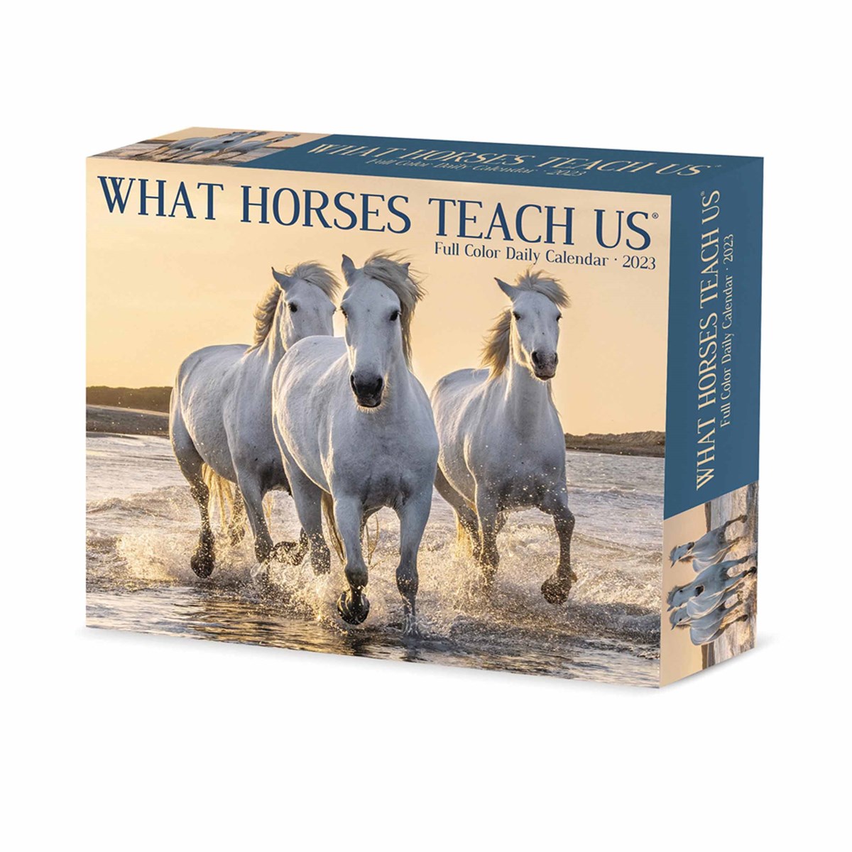 What Horses Teach Us Desk 2023 Calendars