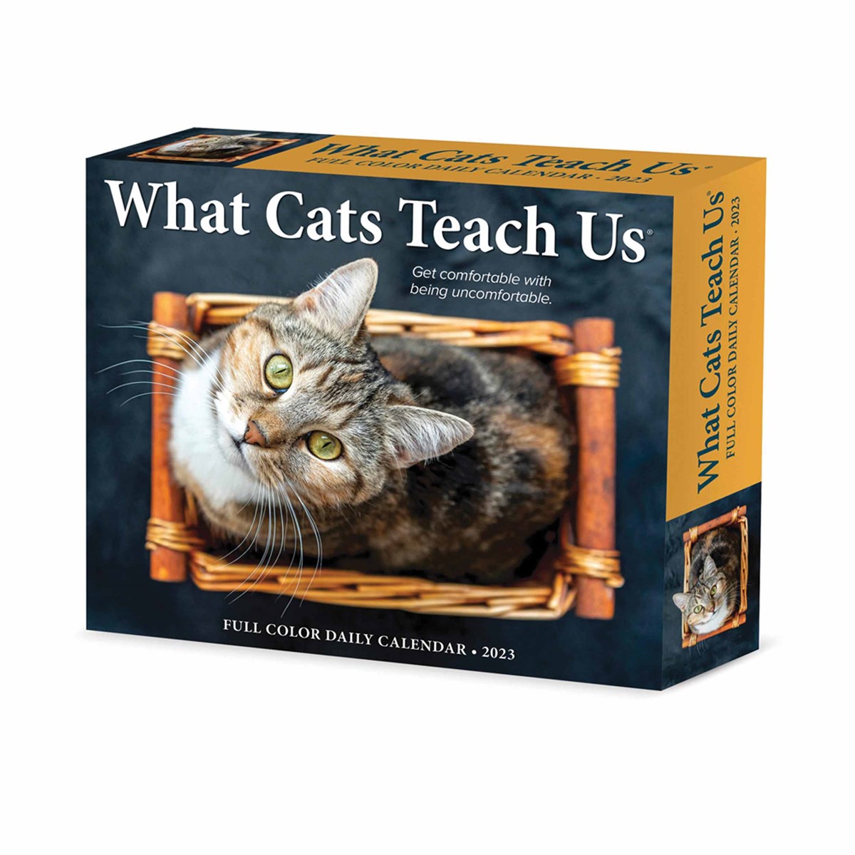 What Cats Teach Us Desk 2023 Calendars
