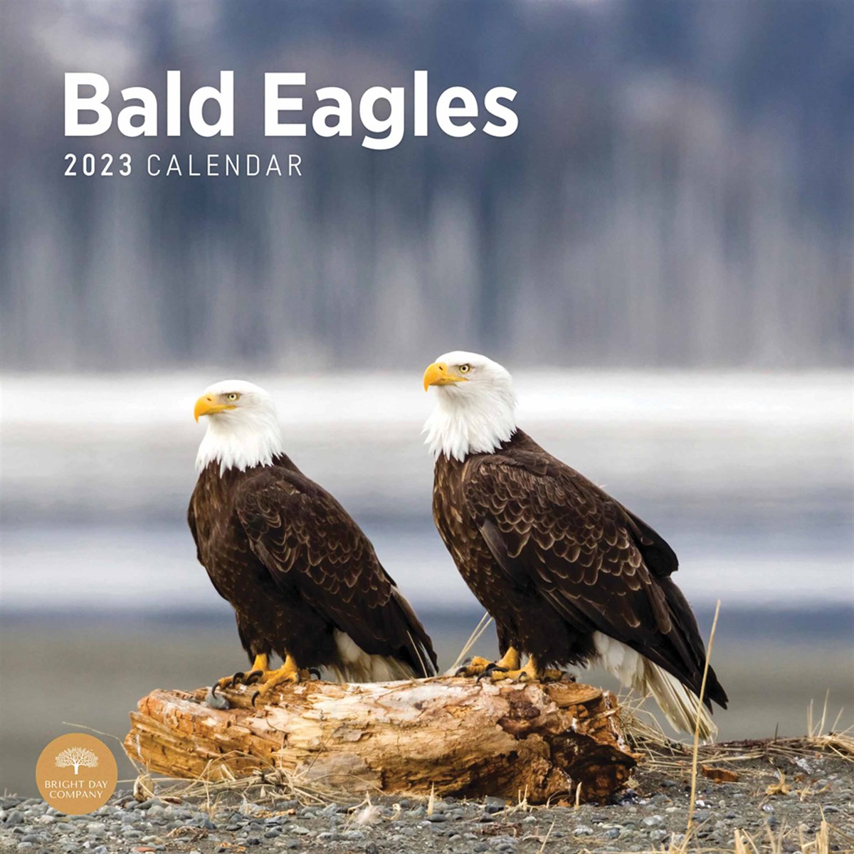 Bald Eagles 2023 Calendars