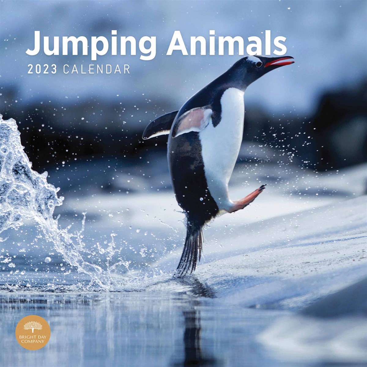 Jumping Animals 2023 Calendars