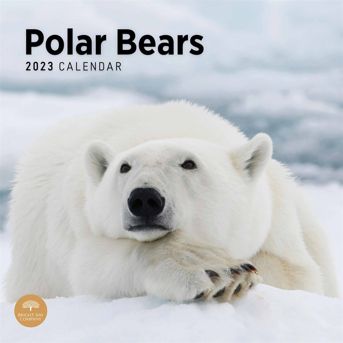 Polar Bears 2023 Calendars
