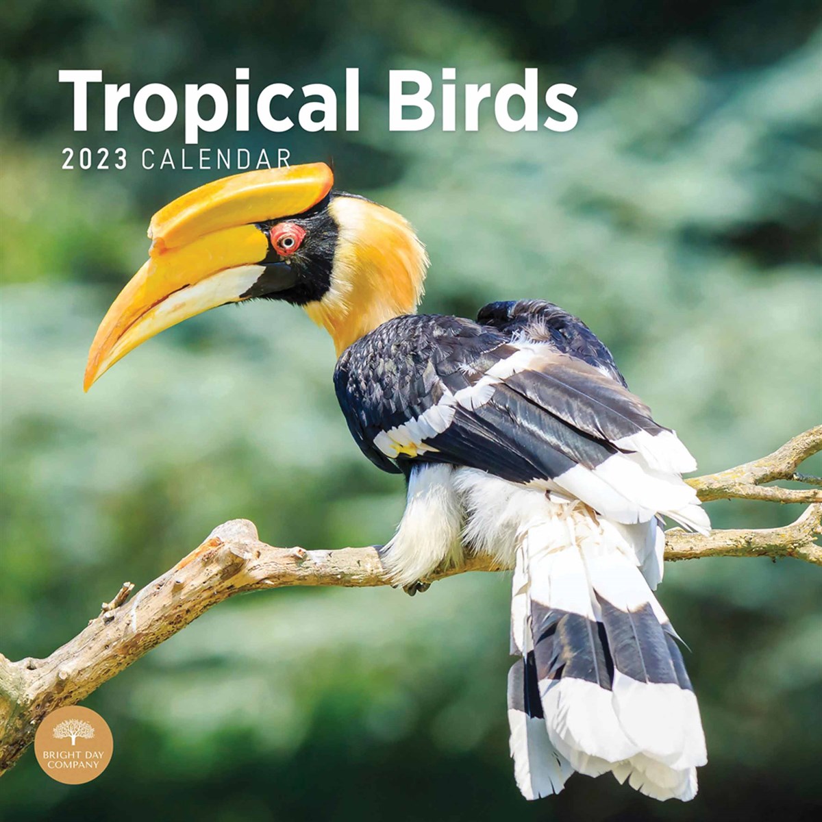 Tropical Birds 2023 Calendars