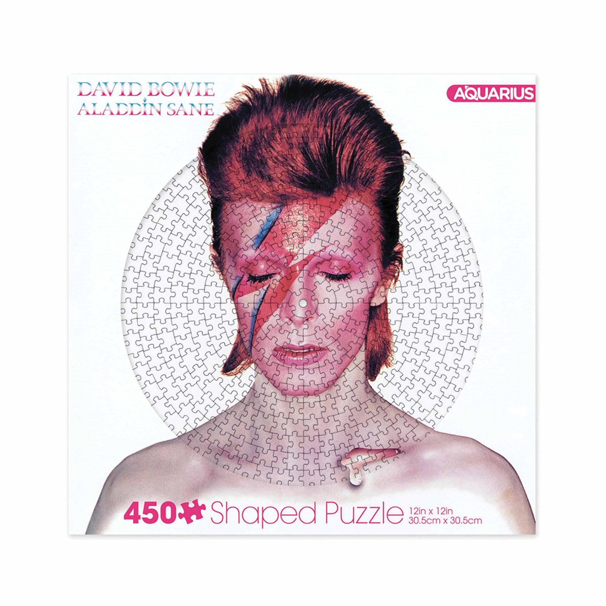 David Bowie Aladdin Sane Disc Jigsaw