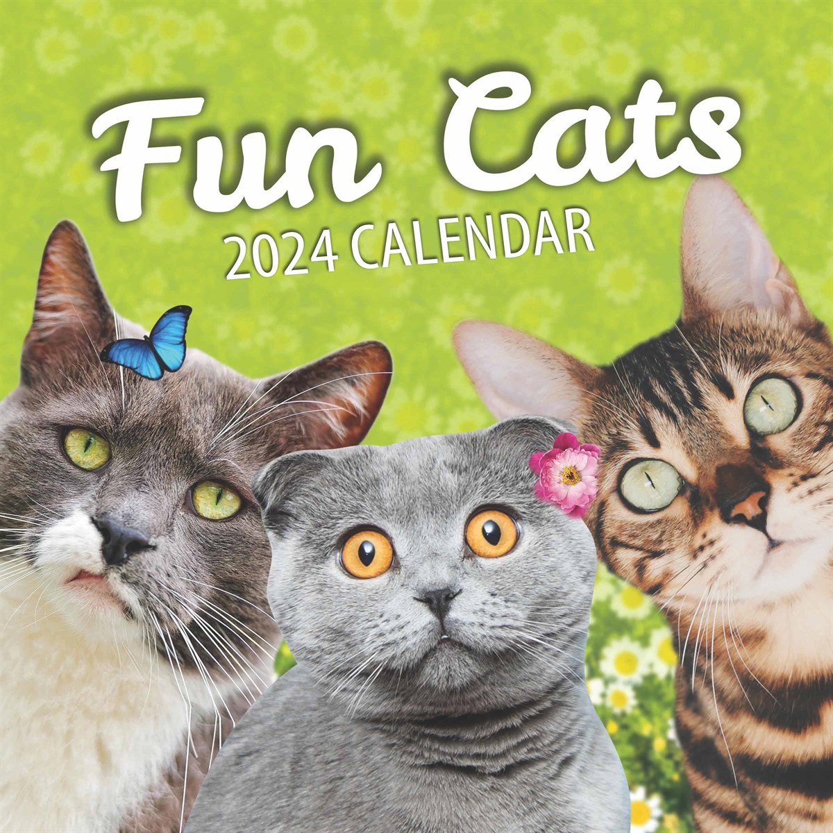 fun-cats-calendar-2024
