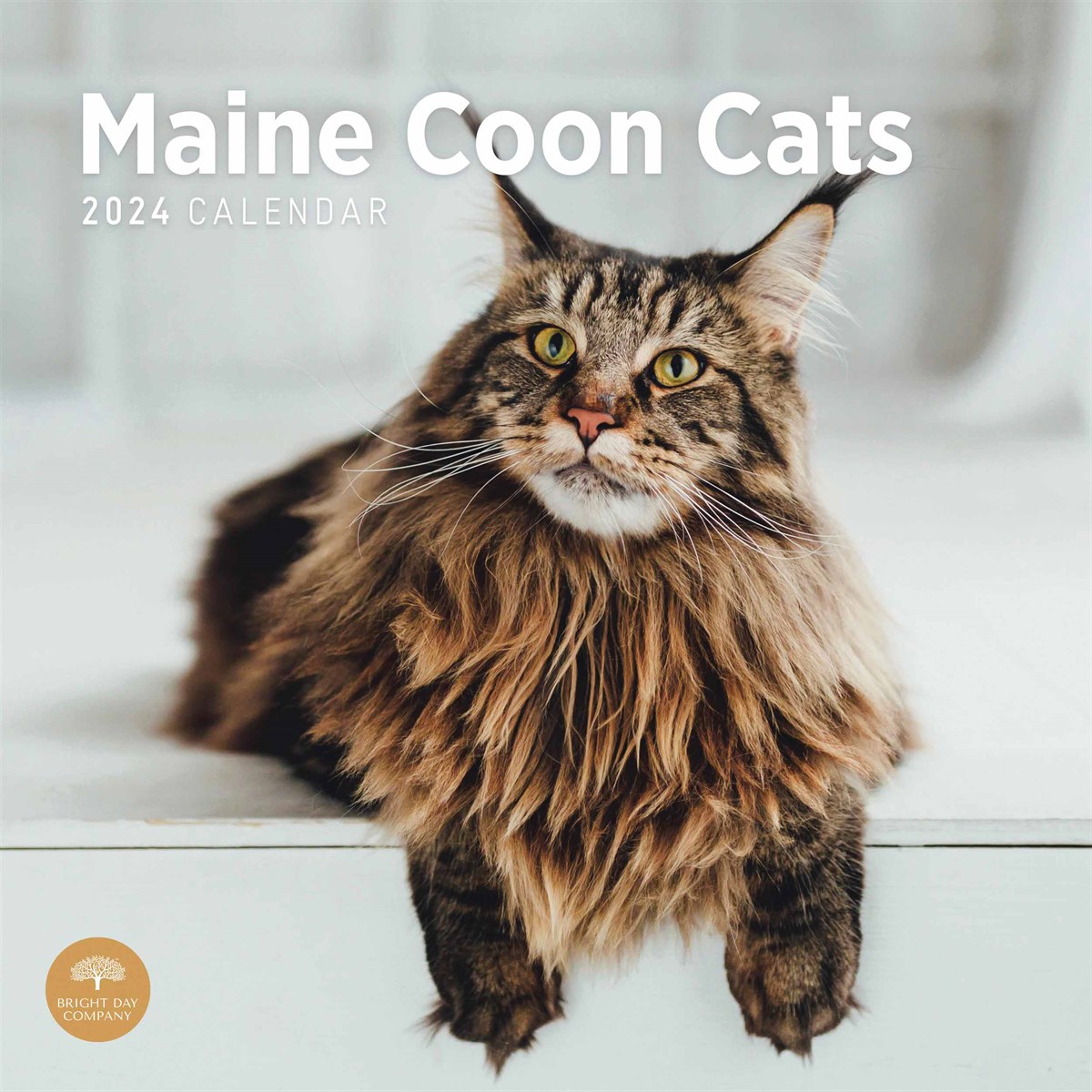 Maine 2024 Calendar Calendar 2024