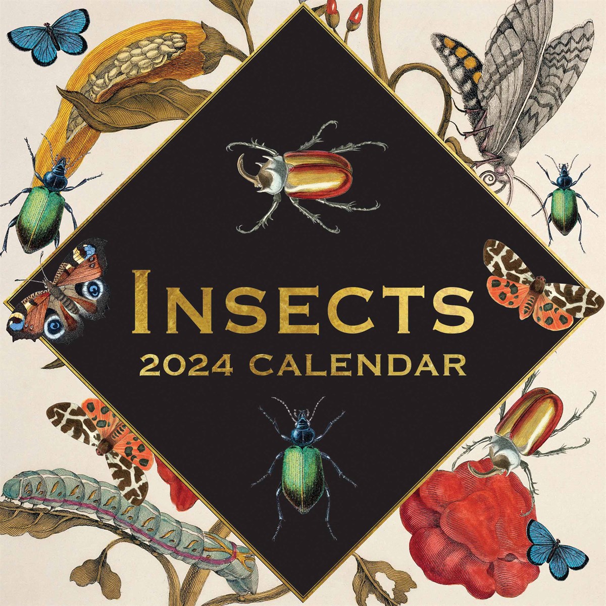 2024 Insect Calendar Google